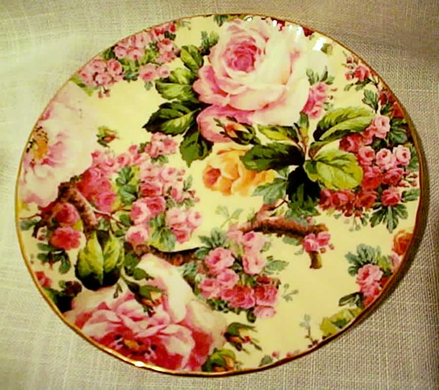 RPN3 Saucer by Royal Patrician-1