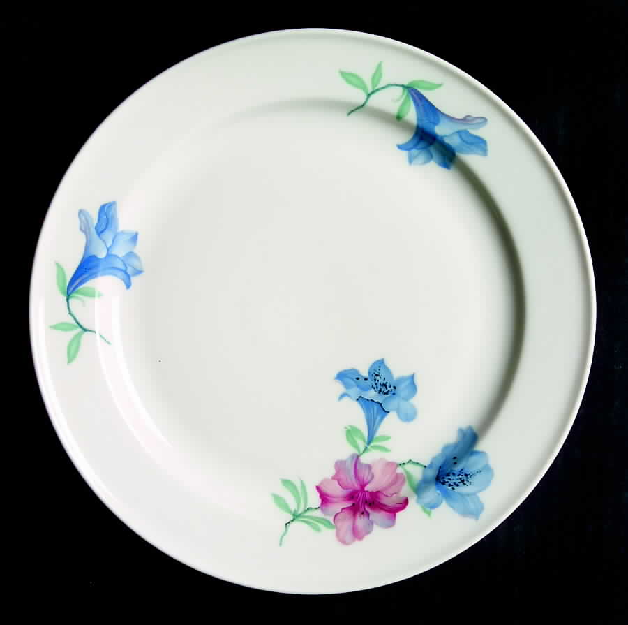 R1176 Salad Plate by Rosenthal - Continental-1