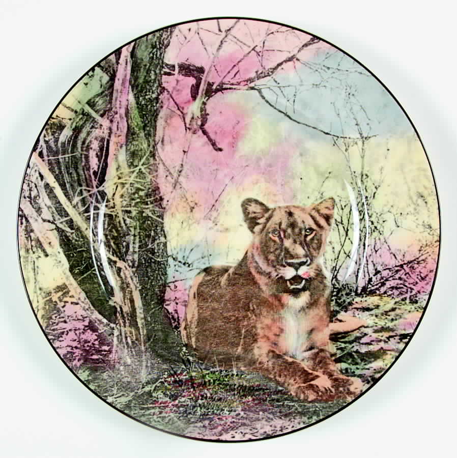 African Series Multicolor (Rimmed) Dinner Plate by Royal Doulton-1