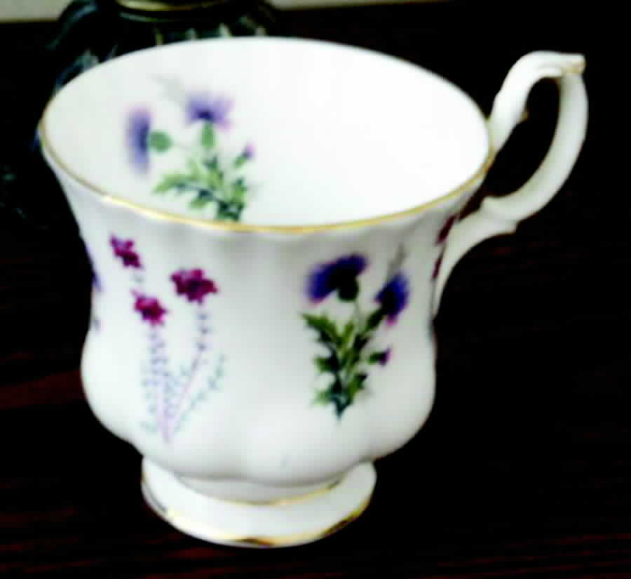 Ullswater Footed Cup by Royal Albert-1