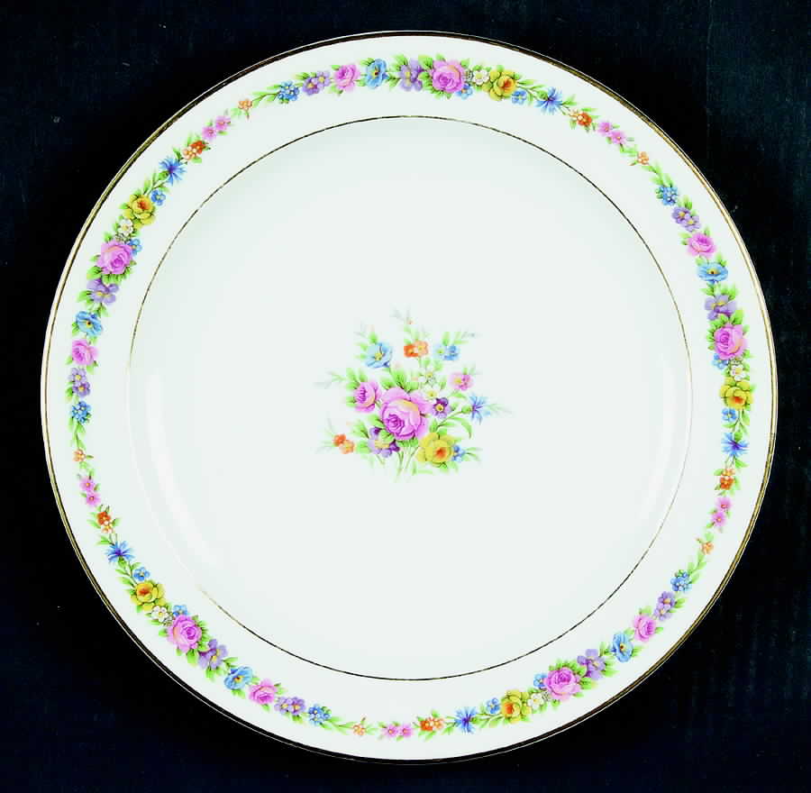 RYD46 Dinner Plate by Raynaud-1
