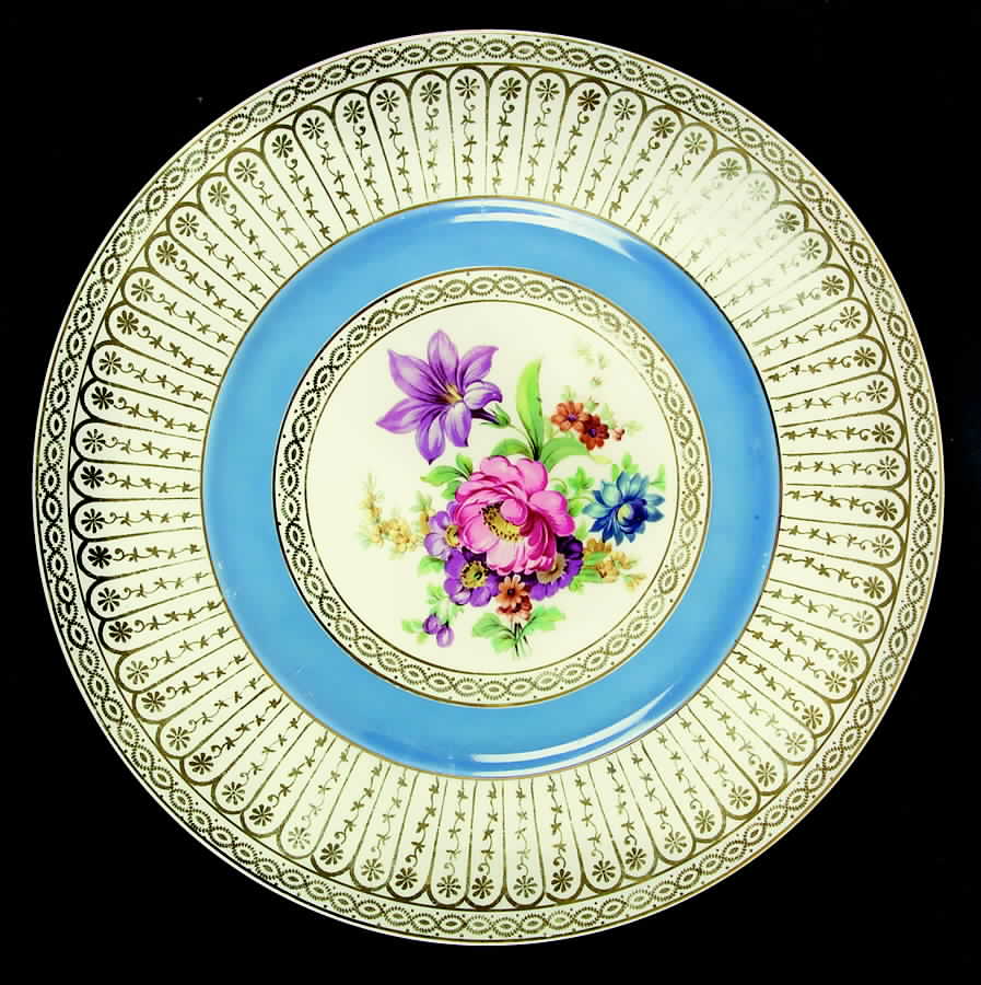 6029 Dinner Plate by R&M Co (Czech)-1