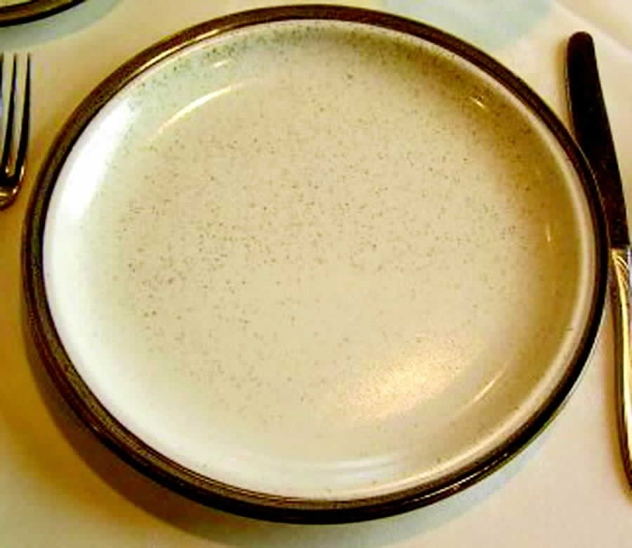 RGO14 Dinner Plate by Rego-1