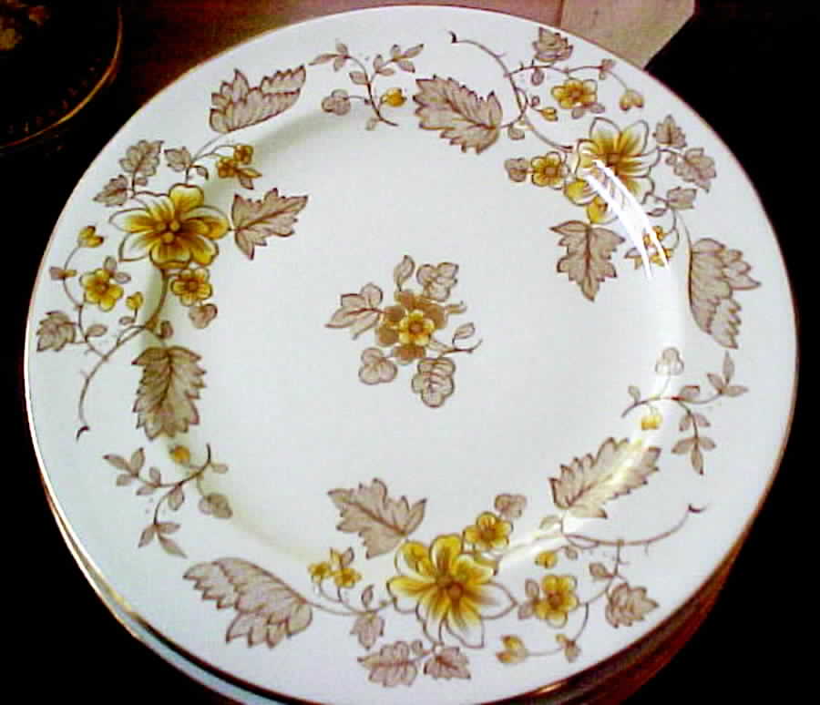 A275 Dinner Plate by Royal Crown Derby-1