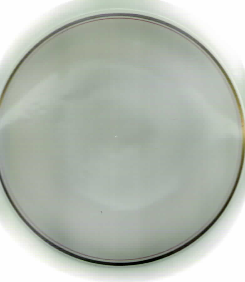 RSN10 Dinner Plate by Royal Swan-1
