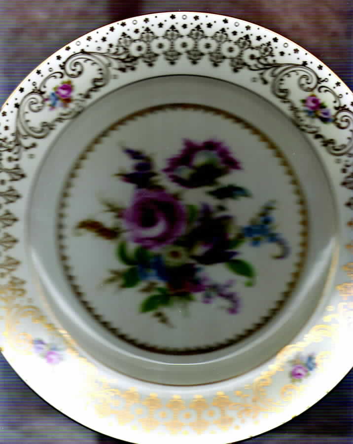 5862 Dinner Plate by Rosenthal - Continental-1
