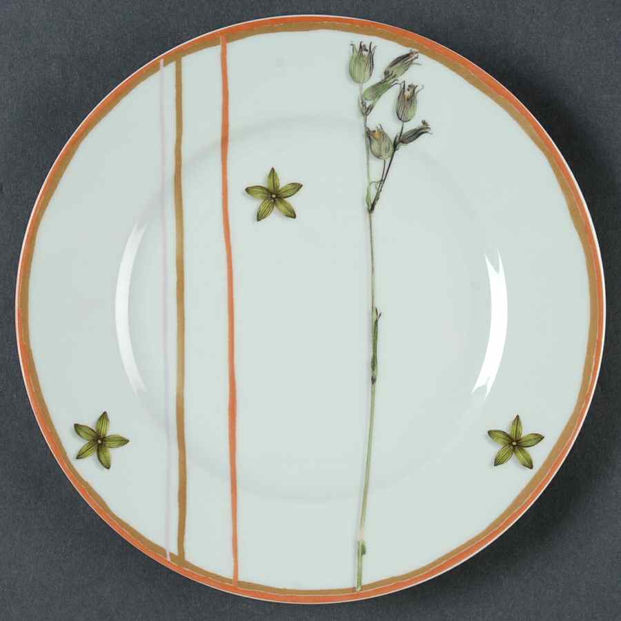 Nature Celadon Salad Plate by Raynaud-1