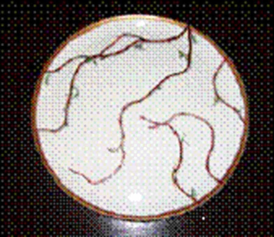 Nature Celadon Cake Plate by Raynaud-1