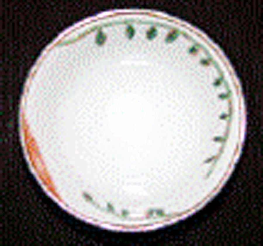 Nature Celadon Rice Bowl by Raynaud-1