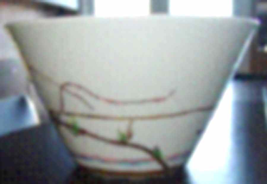 Nature Celadon 10" Large Salad Serving Bowl by Raynaud-1