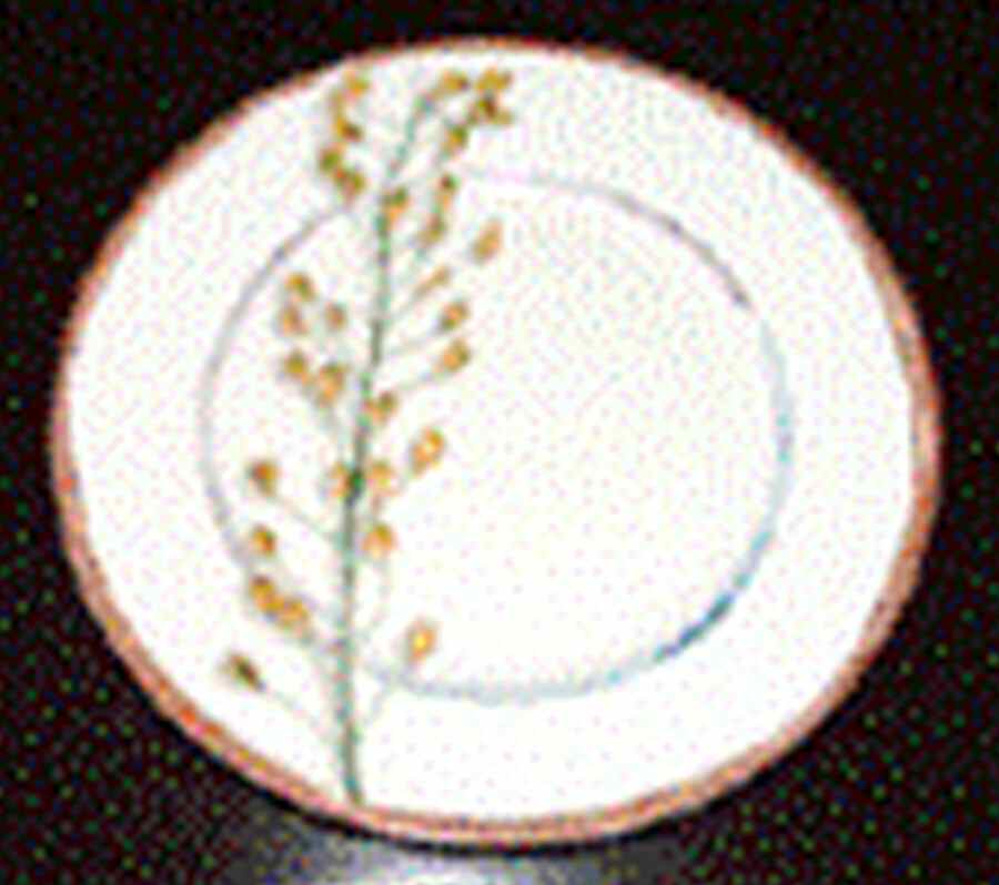 Nature Celadon Salad Plate by Raynaud-1