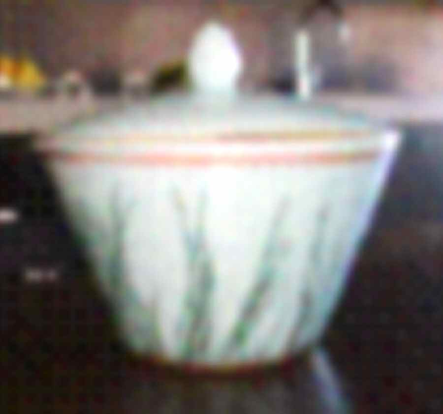 Nature Celadon Round Covered Vegetable by Raynaud-1