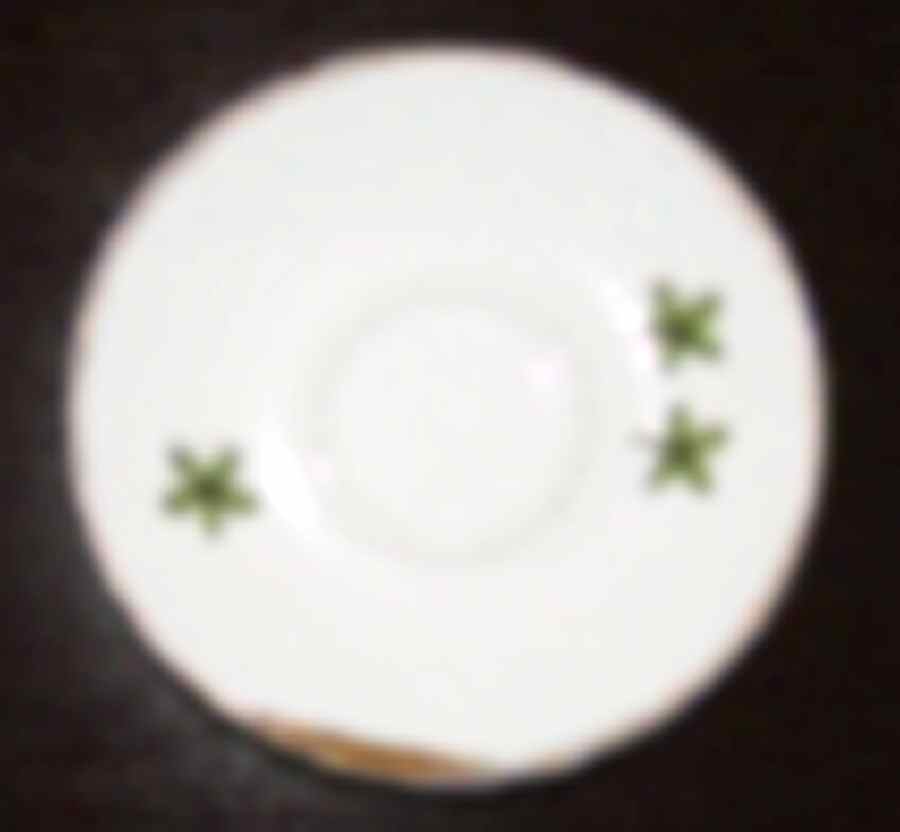 Nature Celadon Saucer by Raynaud-1