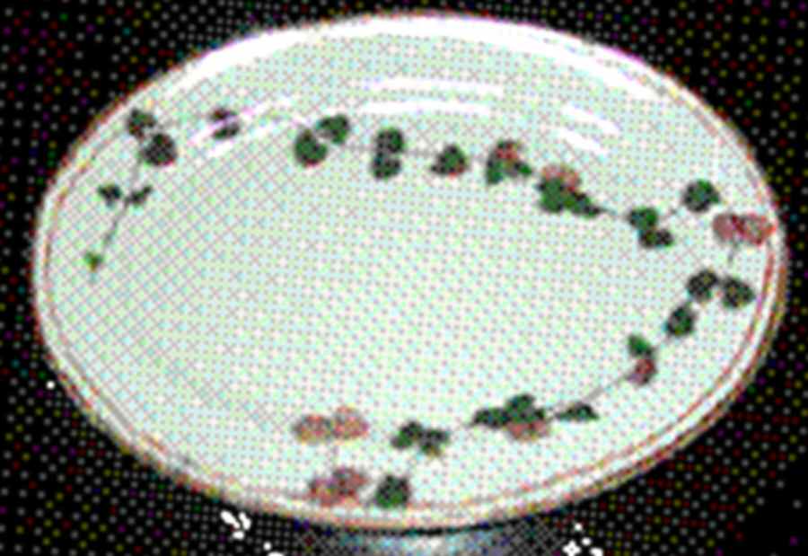 Nature Celadon 16" Oval Serving Platter by Raynaud-1