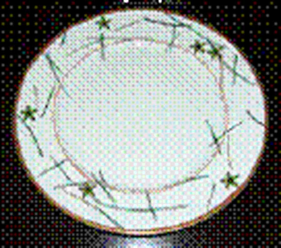 Nature Celadon Service Plate (Charger) by Raynaud-1