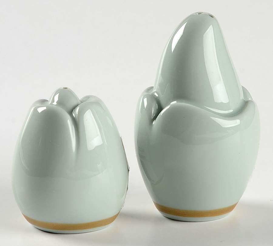 Nature Celadon Salt & Pepper Set by Raynaud-1