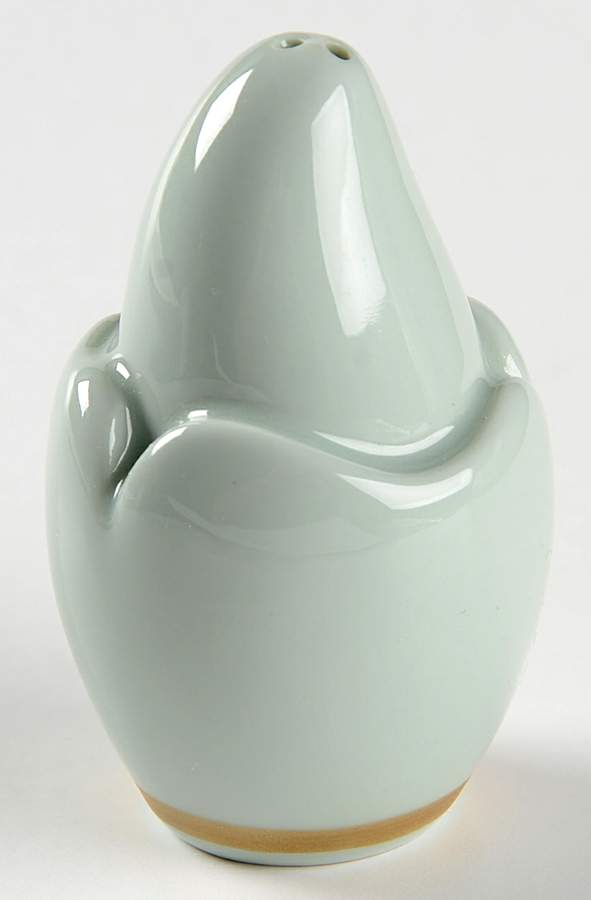 Nature Celadon Salt Shaker by Raynaud-1