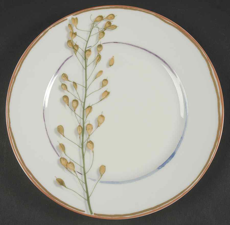 Nature Ivory Salad Plate by Raynaud-1