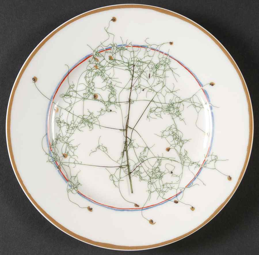 Nature Ivory Salad Plate by Raynaud-1