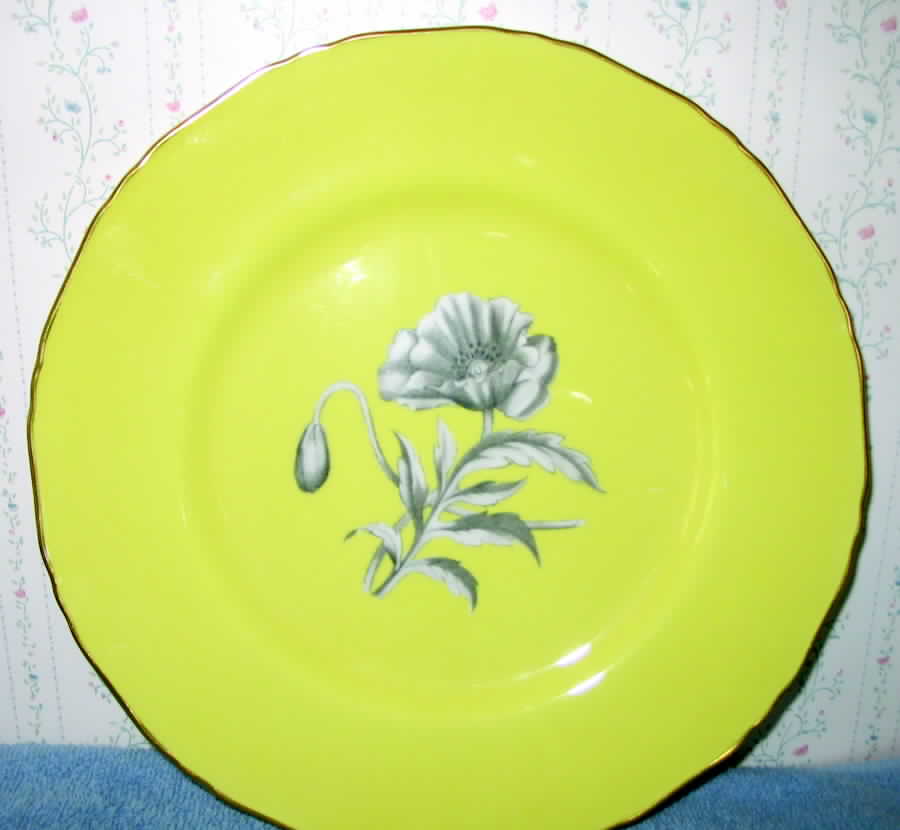 Z2187-1 Service Plate (Charger) by Royal Worcester-1