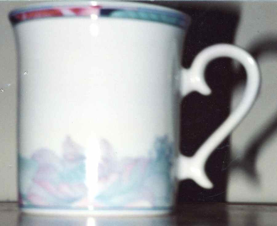 Gardenia Mug by Royal Porcelain-1
