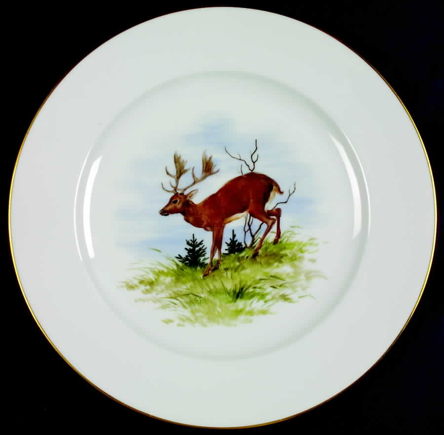 679 Dinner Plate by Rosenthal - Continental-1