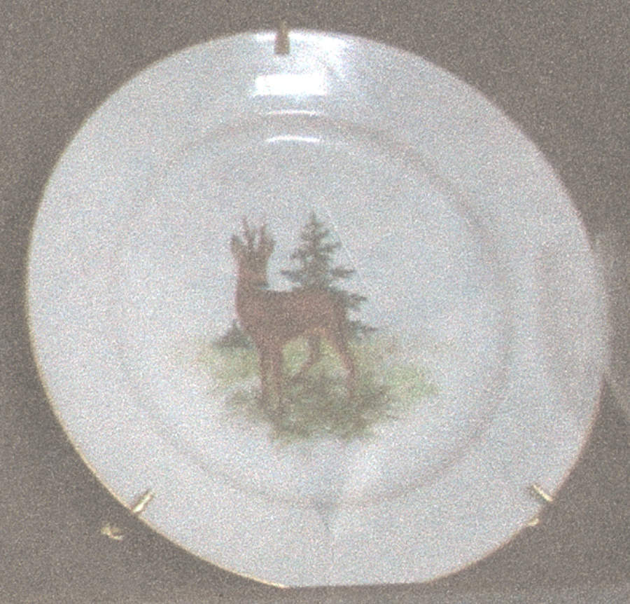 679 Dinner Plate by Rosenthal - Continental-1
