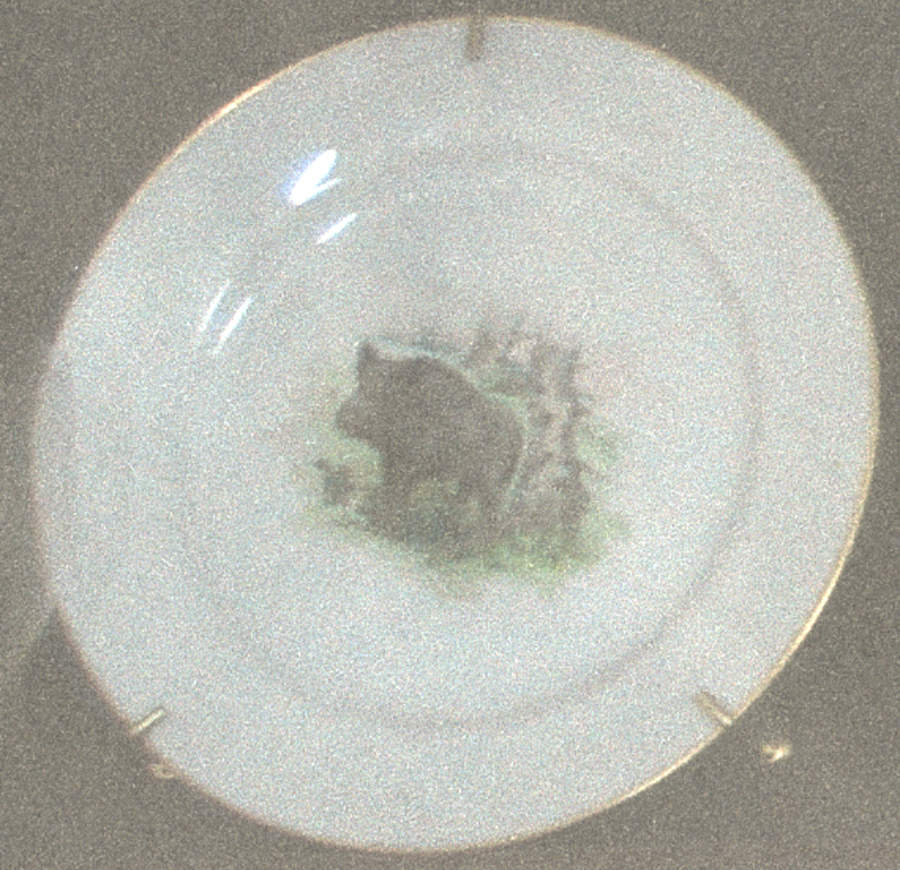 679 Dinner Plate by Rosenthal - Continental-1