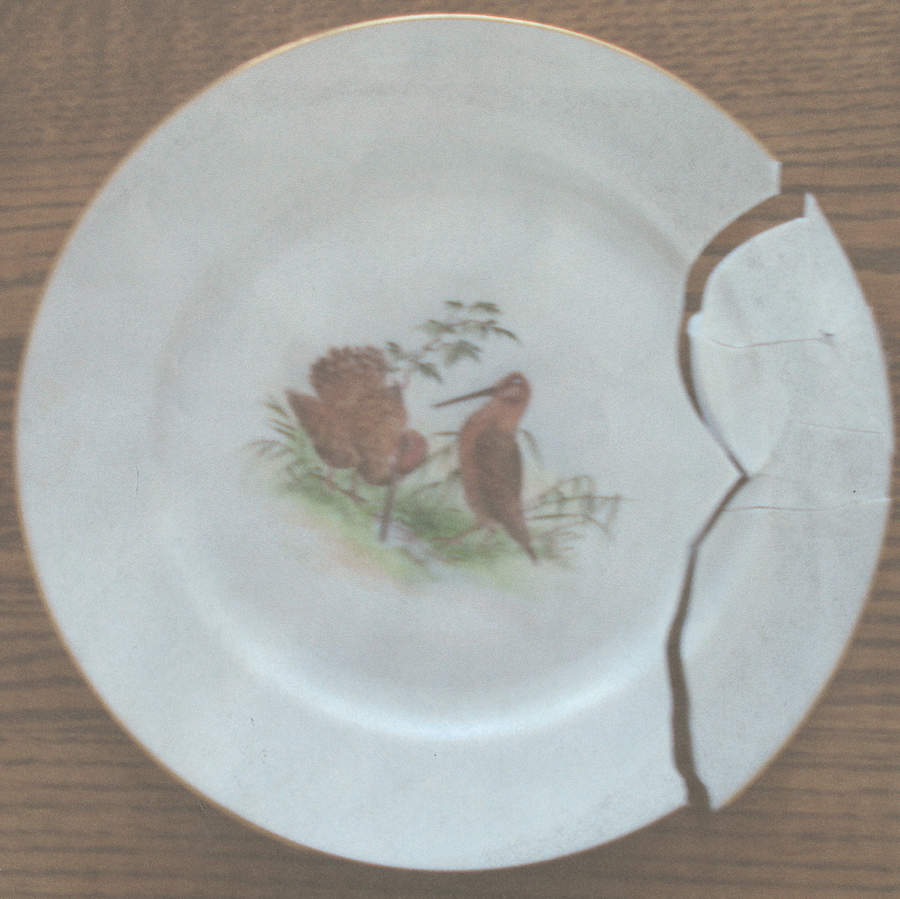 679 Dinner Plate by Rosenthal - Continental-1