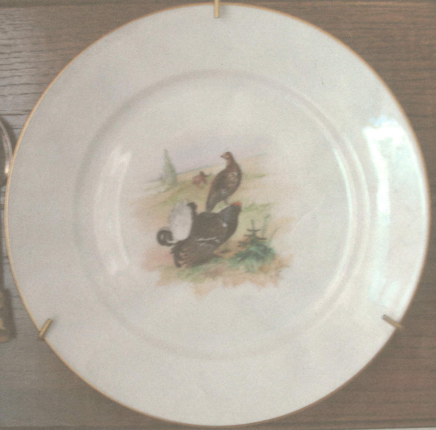 679 Dinner Plate by Rosenthal - Continental-1