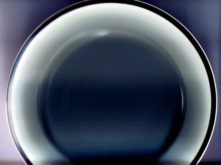 55040 Dinner Plate by Royal Gallery-1