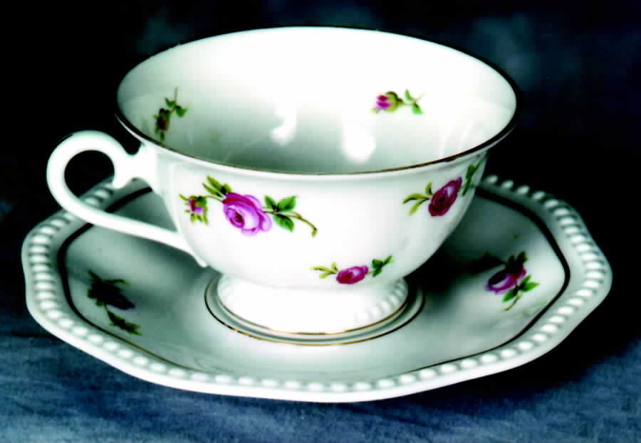 R1484 Footed Cup & Saucer Set by Rosenthal - Continental-1