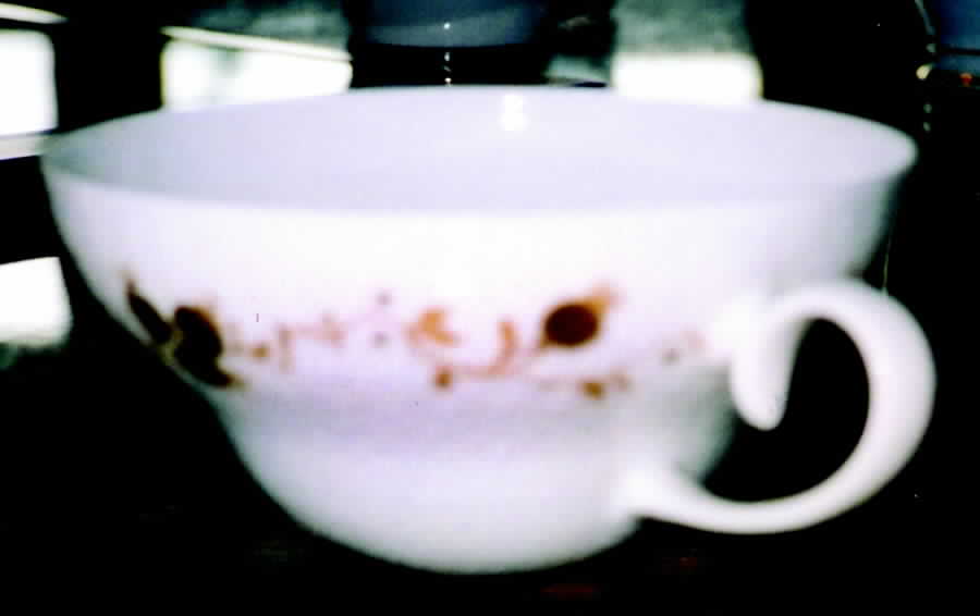 3620 Flat Cup by Rosenthal - Continental-1