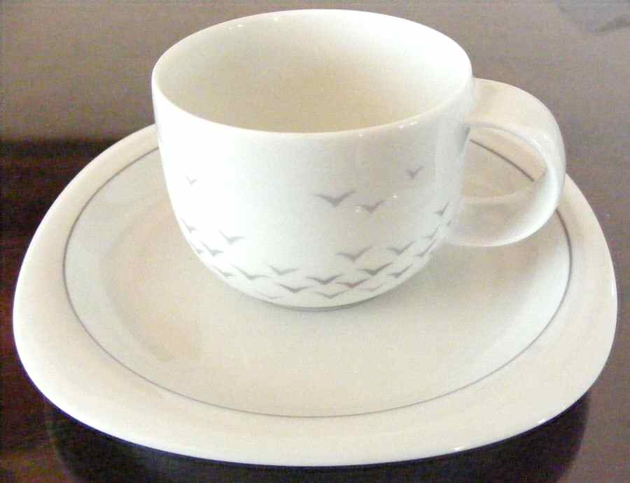 Vogelflug Flat Demitasse Cup & Saucer Set by Rosenthal - Continental-1