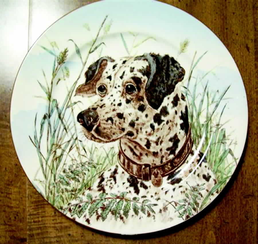 L6792 Dinner Plate by Royal Cauldon-1