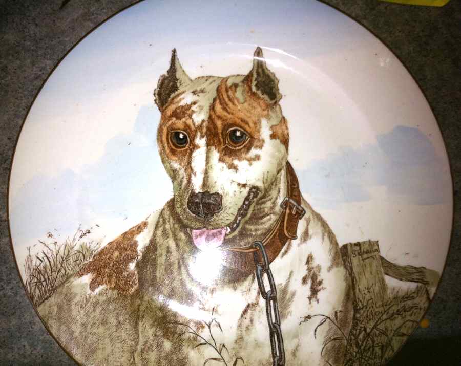 L6792 Dinner Plate by Royal Cauldon-1