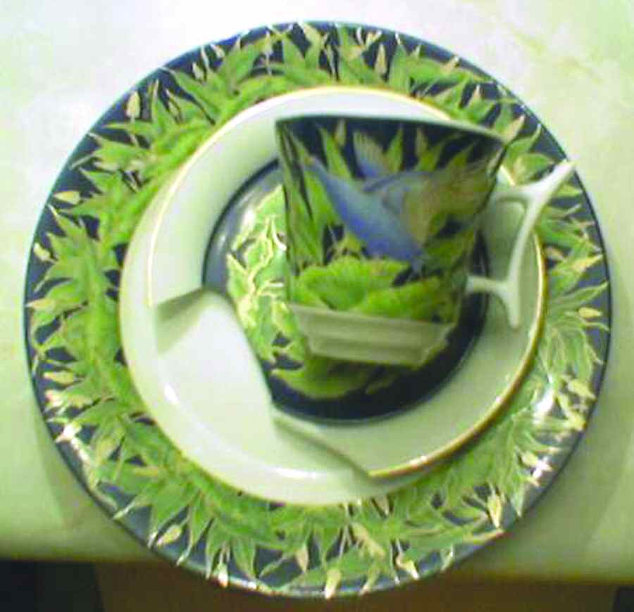 Vogelparadise Flat Cup & Saucer Set by Rosenthal - Continental-1