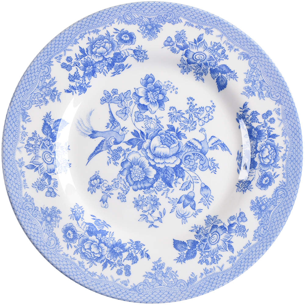 Asiatic Pheasant Powder Blue Salad Plate by Royal Stafford-1