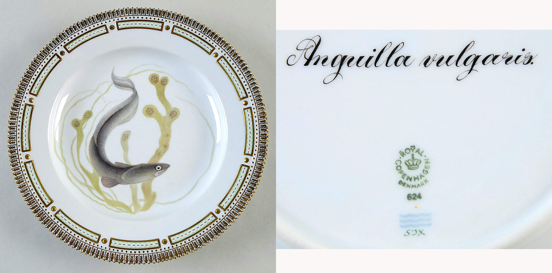 Flora Danica Fish Service Fish Dinner Plate-Anguilla vulgaris by Royal Copenhagen-1