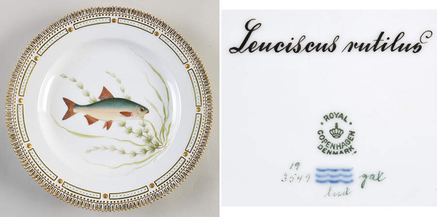 Flora Danica Fish Service Fish Dinner Plate-Leuciscus rutilus by Royal Copenhagen-1