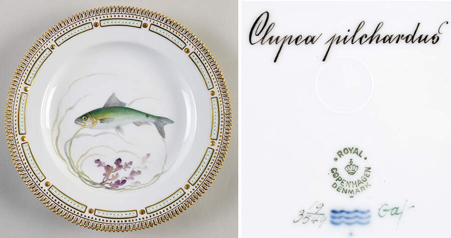 Flora Danica Fish Service Fish Dinner Plate-Clupea Pilchardus by Royal Copenhagen-1
