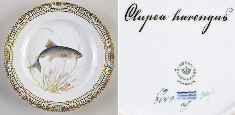 Flora Danica Fish Service Fish Dinner Plate-Clupea harengus by Royal Copenhagen-1