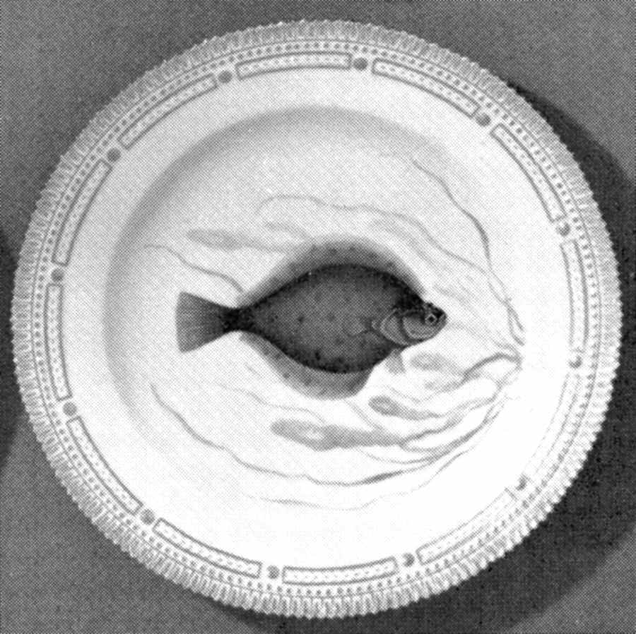 Flora Danica Fish Service Dinner Plate by Royal Copenhagen-1