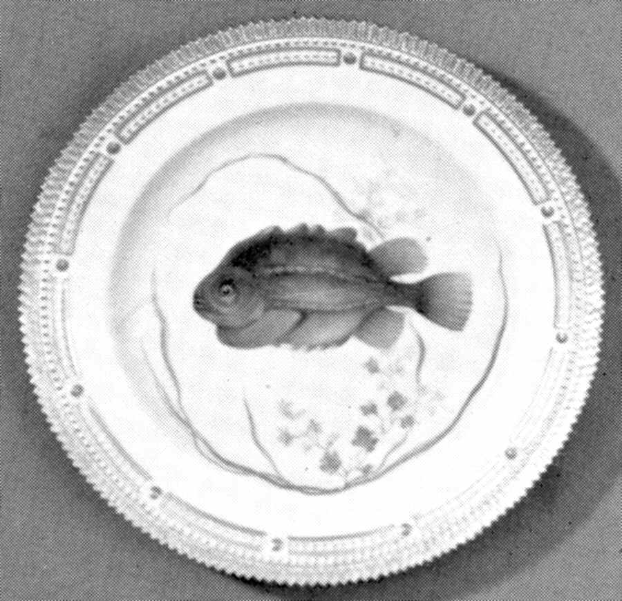 Flora Danica Fish Service Dinner Plate by Royal Copenhagen-1