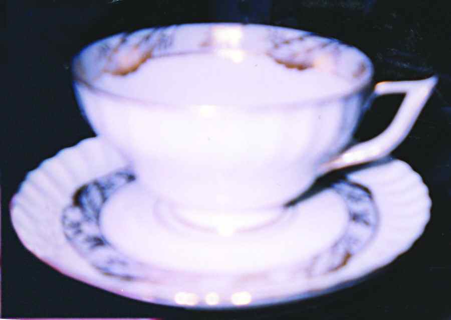 ROT223 Footed Cup & Saucer Set by Royal Tettau-1