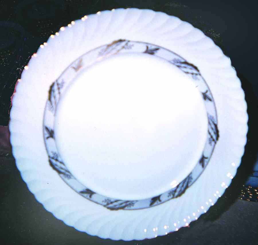 ROT223 Dinner Plate by Royal Tettau-1