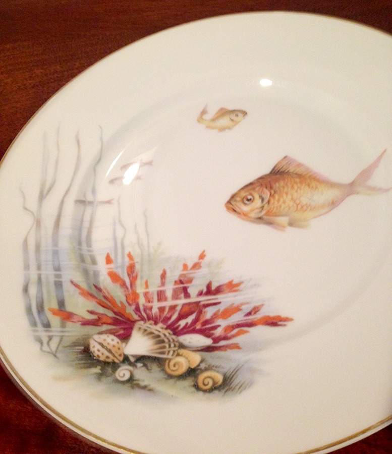 R1511 Dinner Plate by Rosenthal - Continental-1