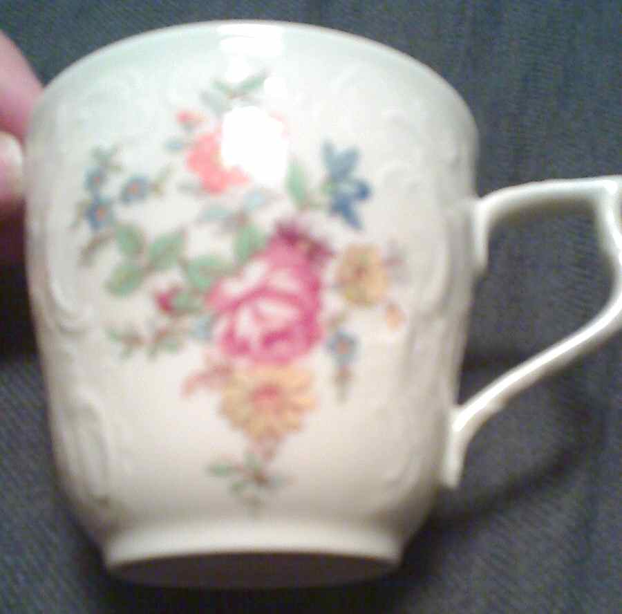 Flower Garden Flat Cup by Rosenthal - Continental-1