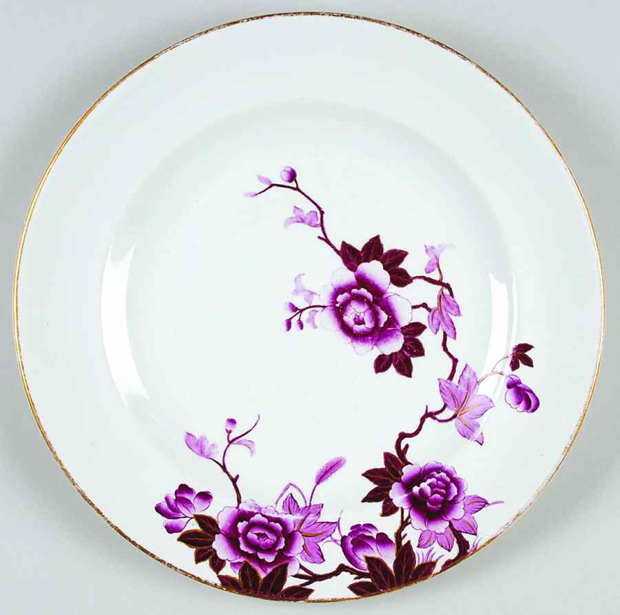 B244 Dinner Plate by Royal Worcester-1