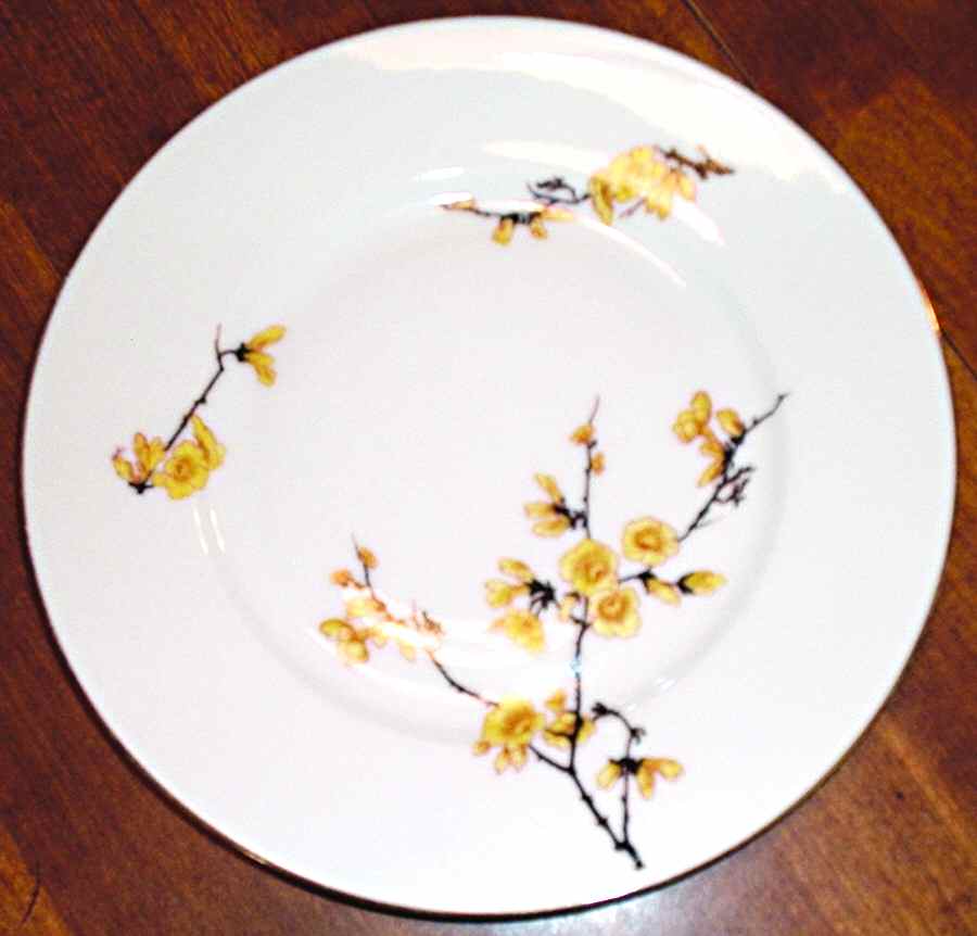 ROT226 Salad Plate by Royal Tettau-1